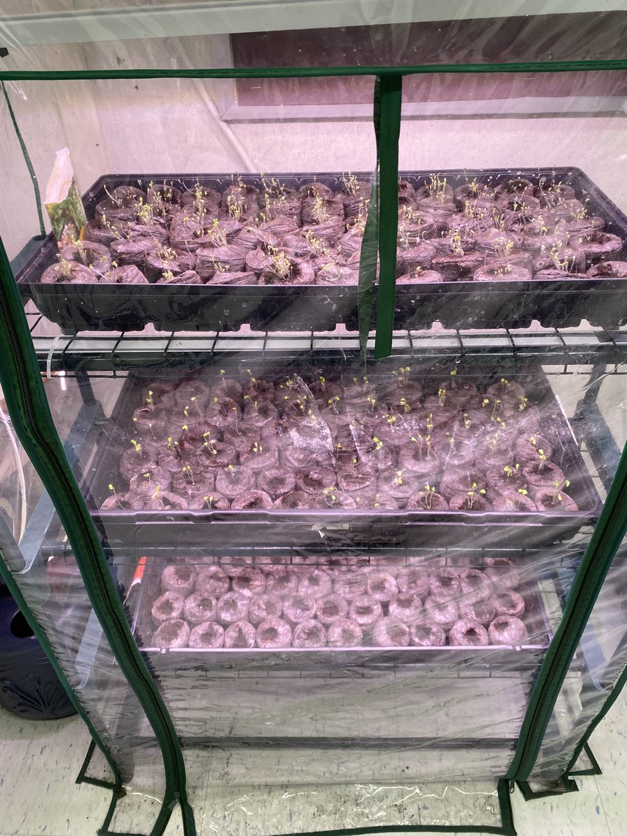 Meghan Stevens-Legault tweet media