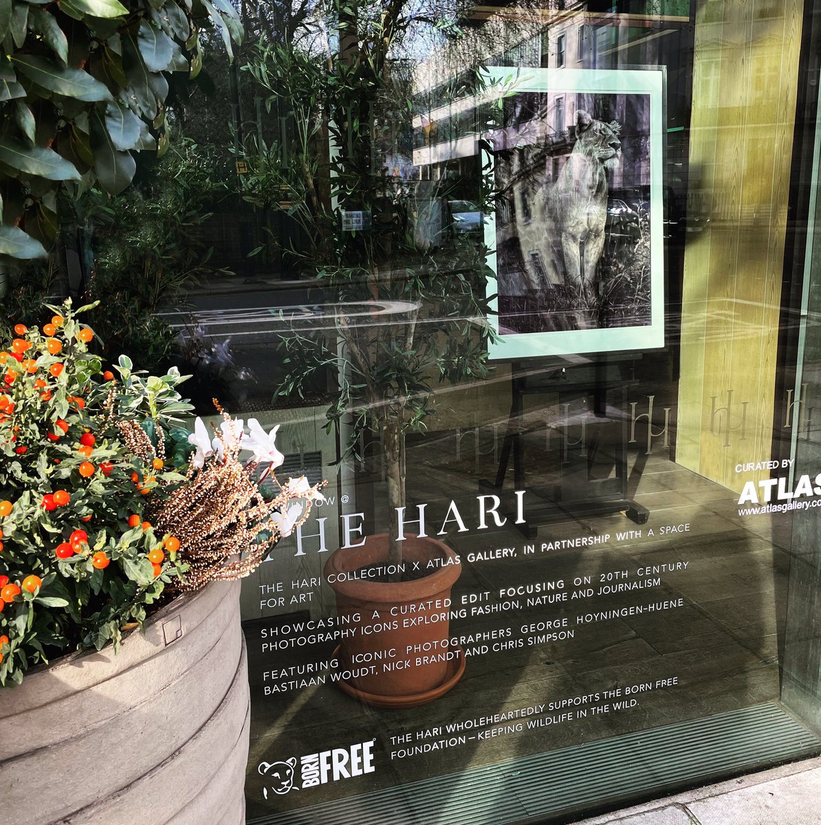 Our exhibition standing proud. 😏🤩