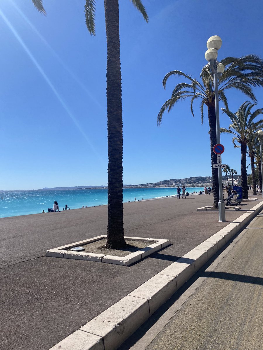 mistgunnnn's tweet photo. vive le sud https://t.co/fzhgvsGsfa