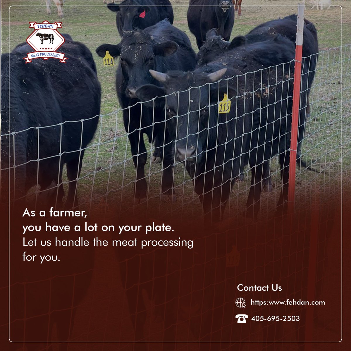 fehdanmeatp1's tweet photo. As a farmer, you have a lot on your plate. Let us handle the meat processing for you, so you can focus on what you do best – raising healthy, happy livestock.
#FehdanMeatProcessing https://t.co/YXyAcNjPLB