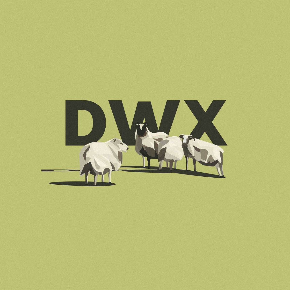 Dylan Wade tweet media