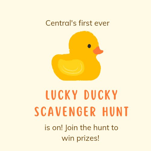 BCentralLibrary's tweet photo. The Lucky Ducky Scavenger Hunt is on! Here is your first clue, and the bonus! Don't forget, if you find a tiny ducks hidden around the school it is yours to keep! @BCentralSchool #scavengerhunt #ducks #library https://t.co/op7cZJVYXG