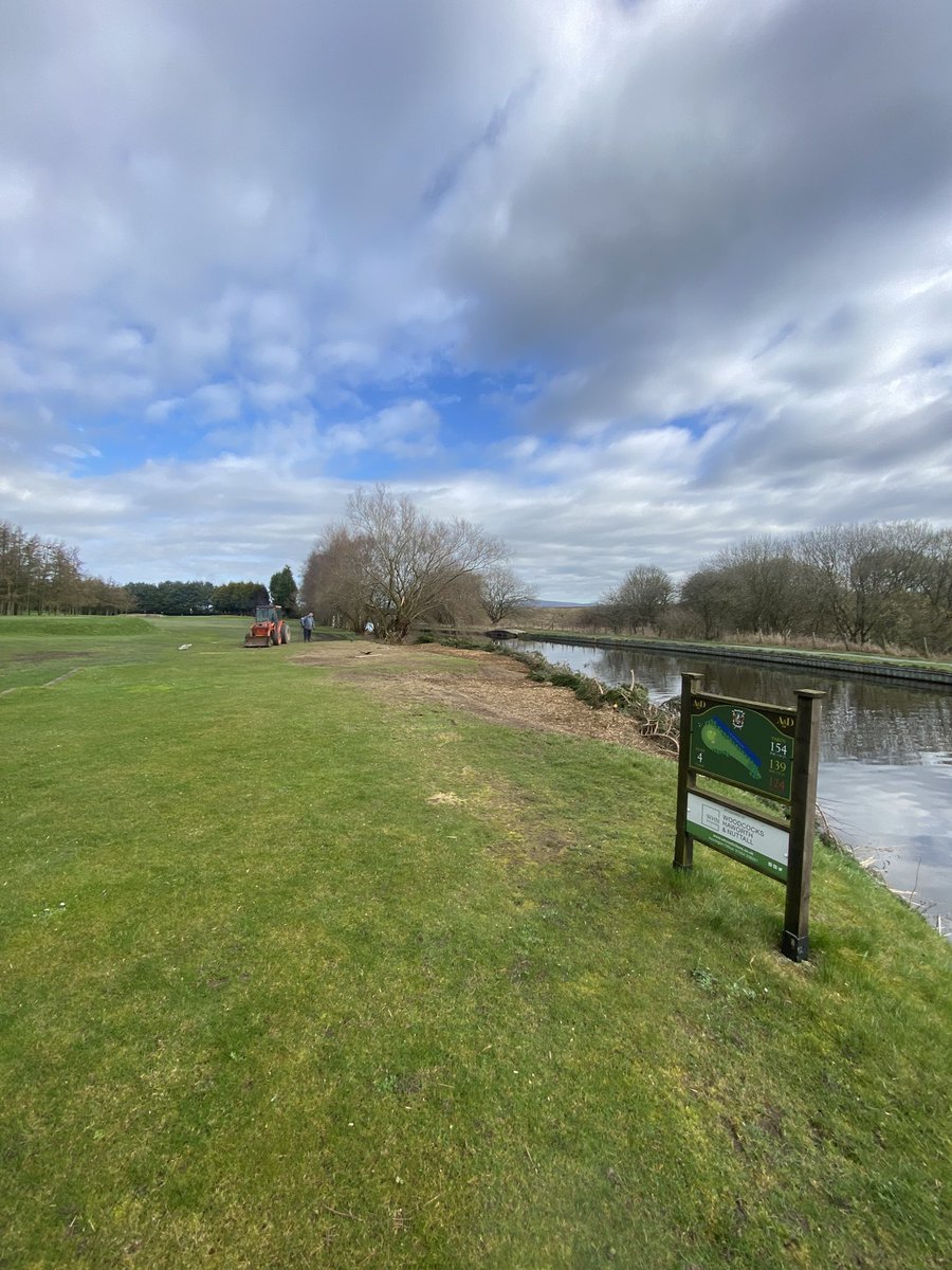 30 conifers removed from side of 4th tee