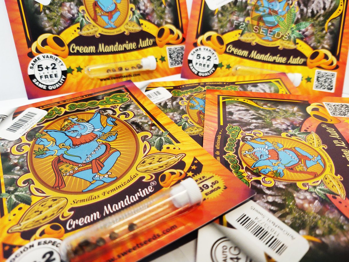 F2seeds_pl's tweet image. Cream Mandarine♥️💚 od @sweetseeds_es 🔝

✅#CreamMandarine jest wysoka w produkcji owoców i żywicy! 💪
✅Świeży zapach z nutami cytrusowych owoców i mandarynek 🍊
✅Wersja #Autoflowering, #FastVersion, #AutofloweringXL 
👉f2seeds.pl/pl/searchquery…

#sweetseeds #mandarine #F2seeds