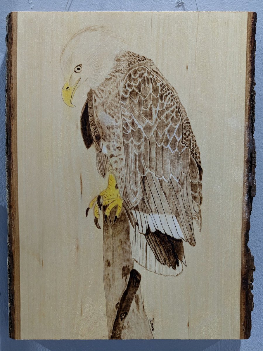 ArtOnMarket's tweet photo. BOWING EAGLE Jennifer Merz @merzarts Basswood 13" X 10" $50.00 #BestOfToledo2022 #artgallery #explore419 #artforthehome #artgallery #artenthusiast #artistslife #pyrography #pyrographyart #artforsalebyartist #artoftheday #bestindependentgallery #art #artist #artforsale https://t.co/QPGh2oV5hO
