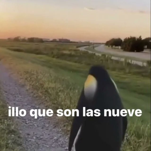 IlloJuan tweet media
