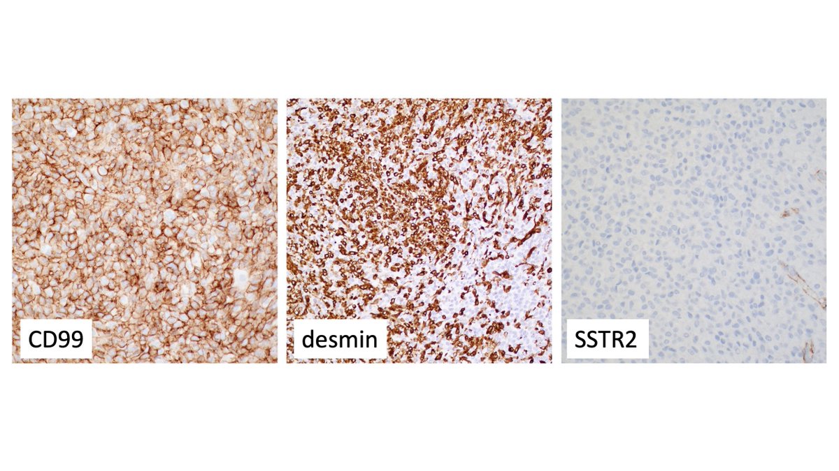 David Meredith tweet media