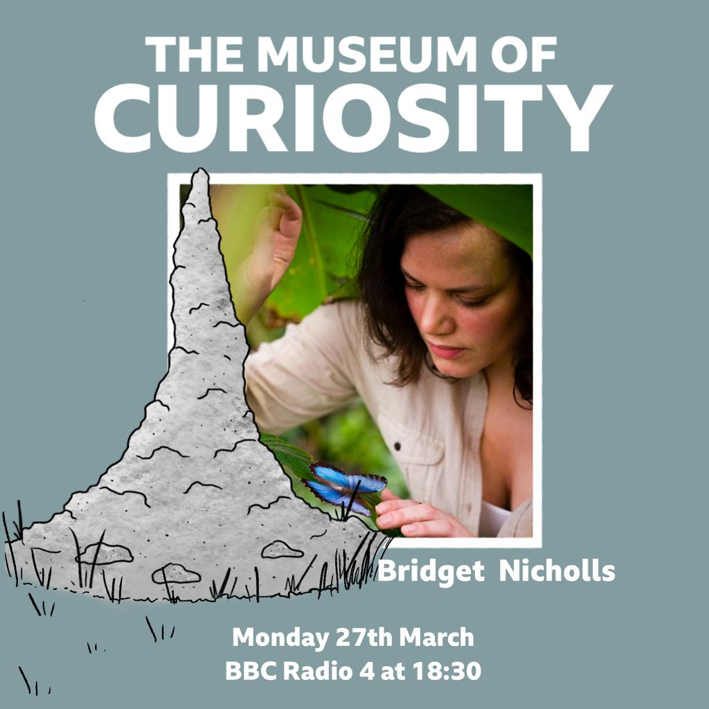 Heard about Pestival?
Catch #ChurchillFellow Bridget Nicholls at 6.30 pm on <a href="/BBCRadio4/">BBC Radio 4</a> The Museum of Curiosity tonight. She'll be talking about her passion for saving insects from extinction and the aptly named festival that celebrates the insect world

ow.ly/ymbR50Nsxlc