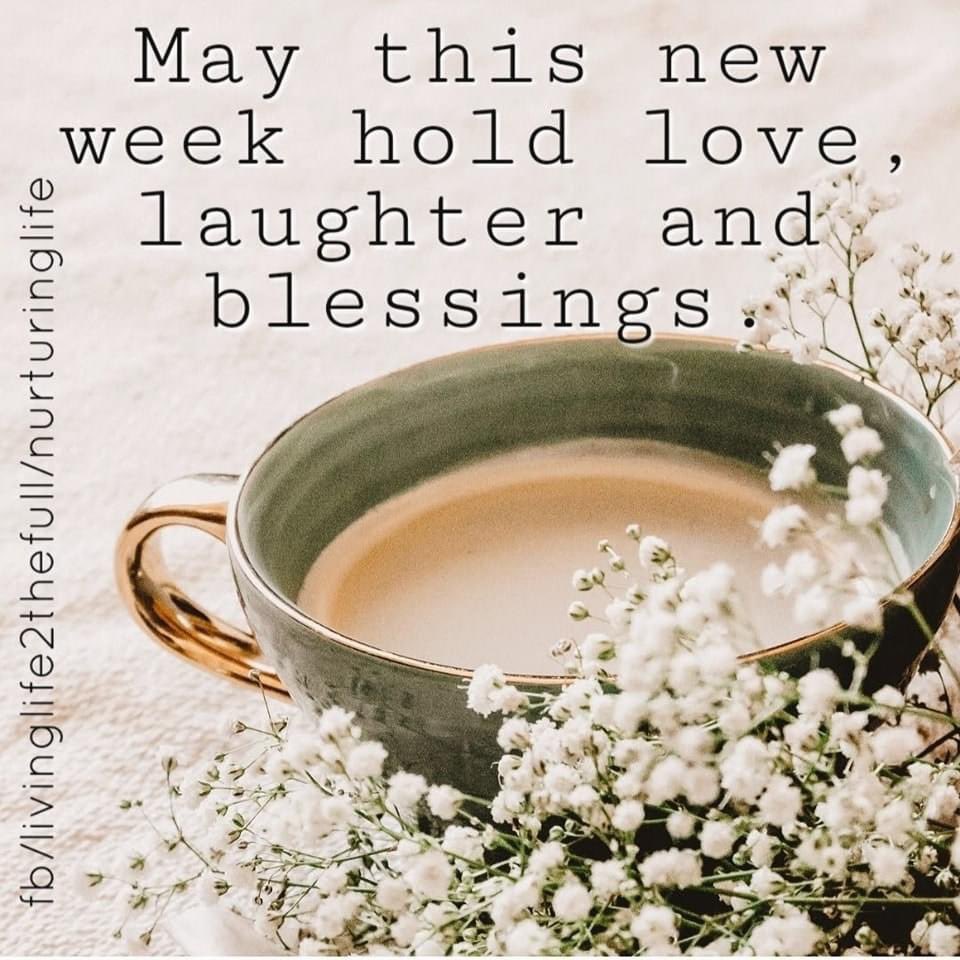 cathie_donnell's tweet photo. https://t.co/eo7IbGjSGG