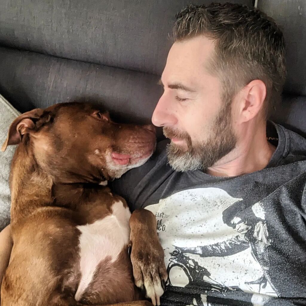 sle3va's tweet photo. - Jak tam Padre, bo u mnie nawet spoko...
#pitbull #rednose #Hacker #pitboy #pitduke #księciunio https://t.co/H3wJ3KBYlP https://t.co/0ioBTwiHSb