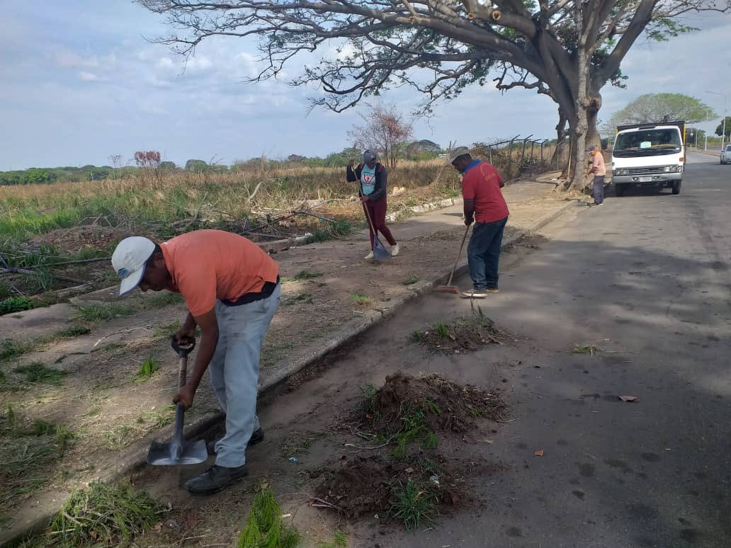 Los equipos de <a href="/CBO_Alcaldia/">Alcaldía Angostura del Orinoco</a> se mantienen desplegados en la avenida Angostura, realizando las labores de barrido y poda de árboles controlada.

#27Mar
#NiCorrupciónNiGuarimbas