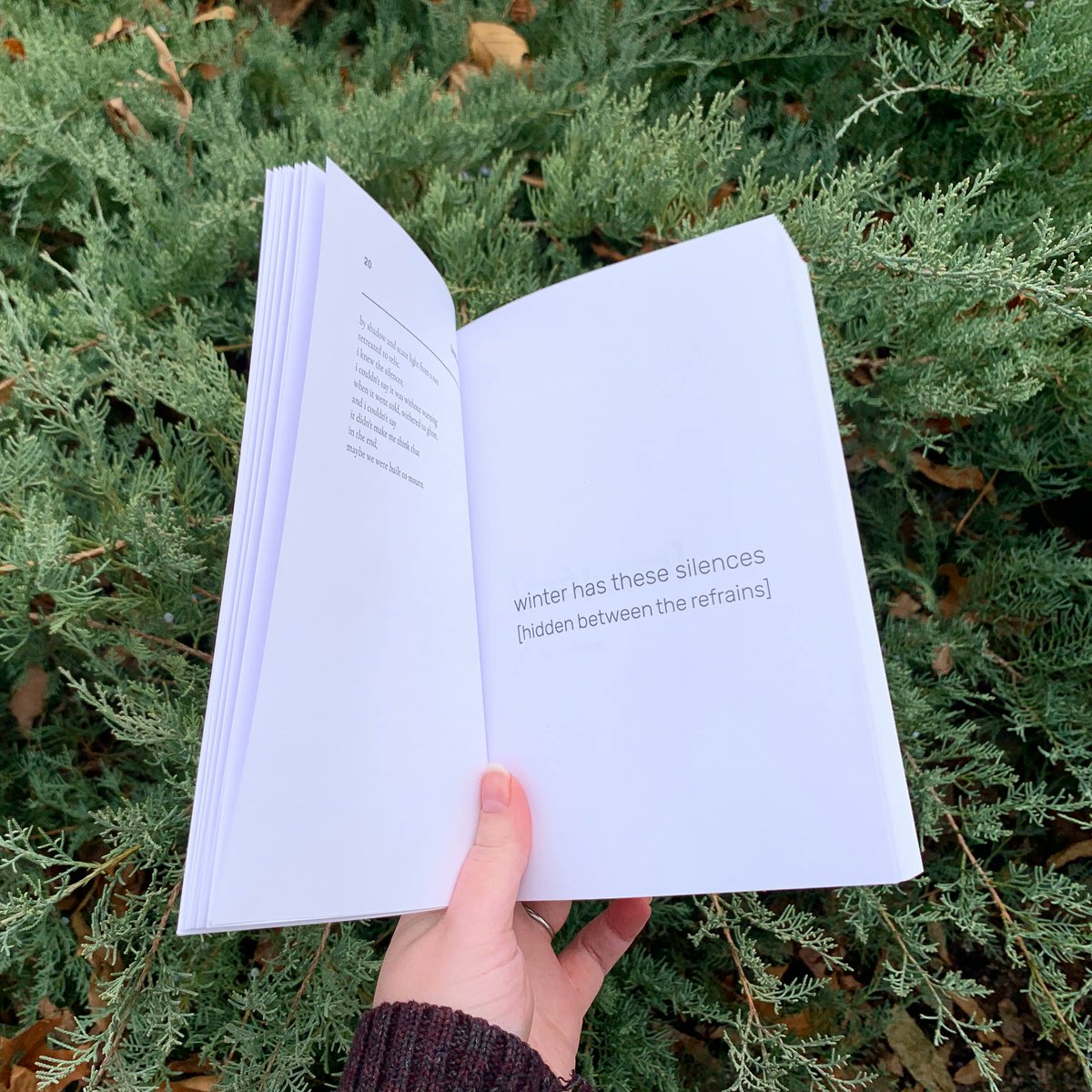 Capsule Stories tweet media