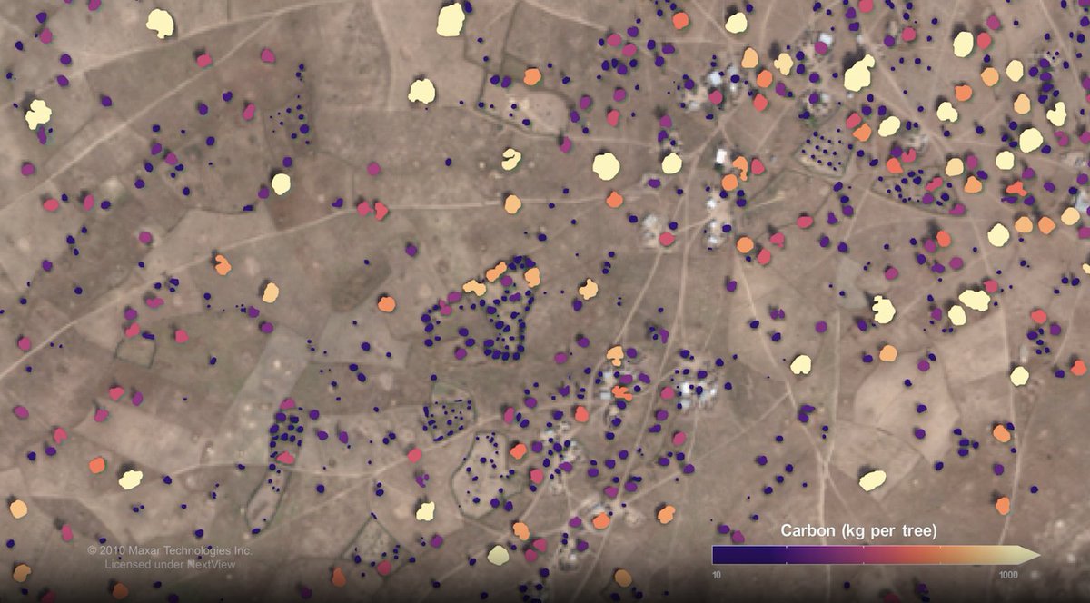 <a href="/NASA/">NASA</a>-funded scientists mapped nearly 10 billion individual trees in Africa’s drylands, specifically the Saharan, Sahel, and Sudanian zones of Africa. Their research will assess the amount of carbon stored outside of major forests. Check out the story, at svs.gsfc.nasa.gov/5031!