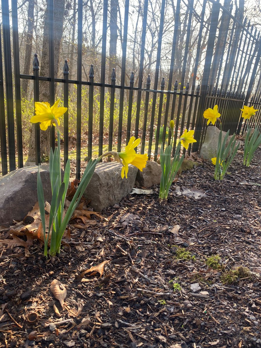 2morepoints's tweet image. Spring has sprung…