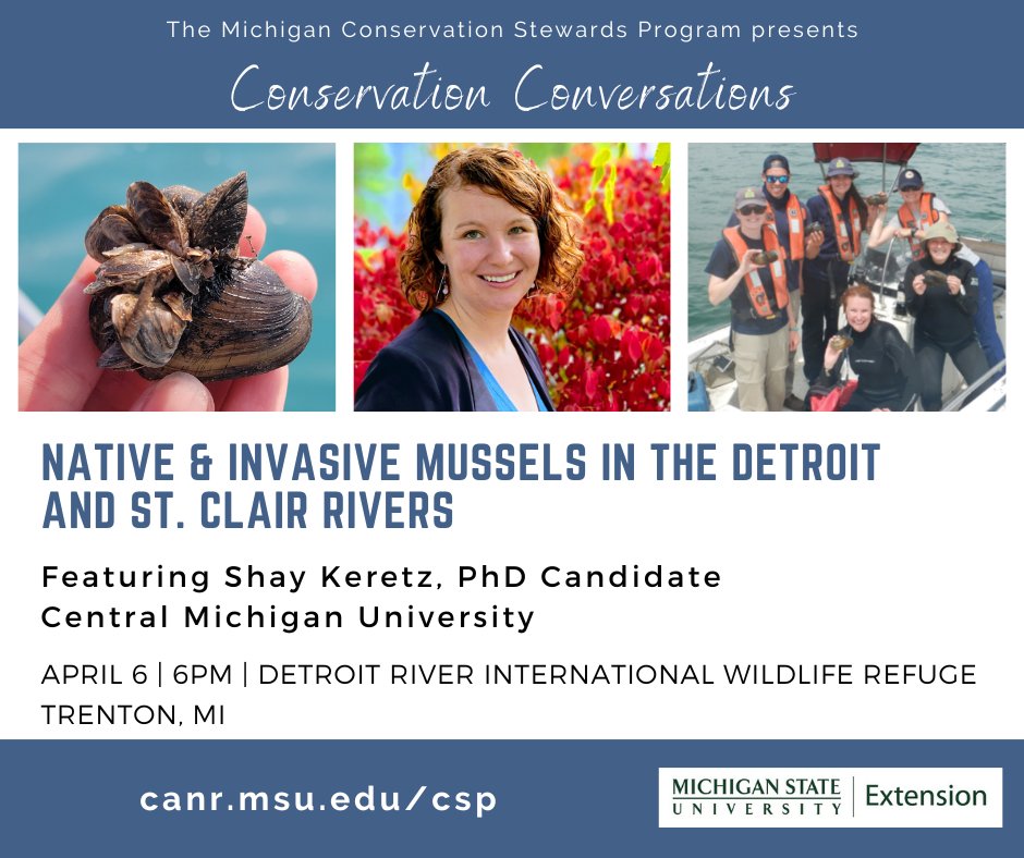 ShaySuzann's tweet photo. 📣 I'm honored to announce that I'll be giving a Conservation Series Talk on Thursday April 6th at 6pm! See the flyer for details and come hear me talk about #mussels! @michiganstateu @DaveZanatta @MusselLab_DW @CIGLR_UM @cmichSE @Cmich_Biology @MDNR_Wildlife @scriverstewards https://t.co/qfvYBNvvOR