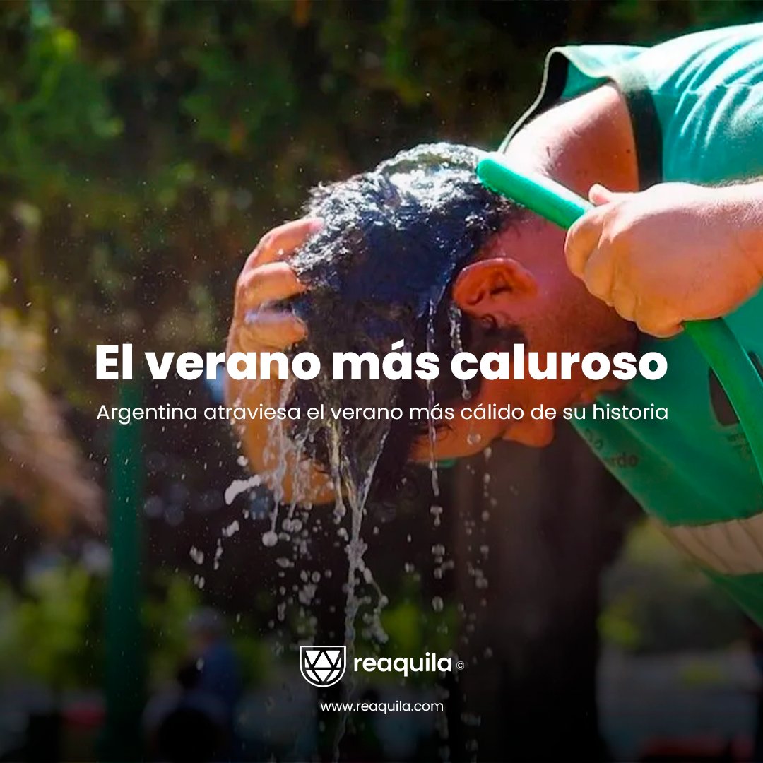 Reaquila 🌎🦅 tweet media