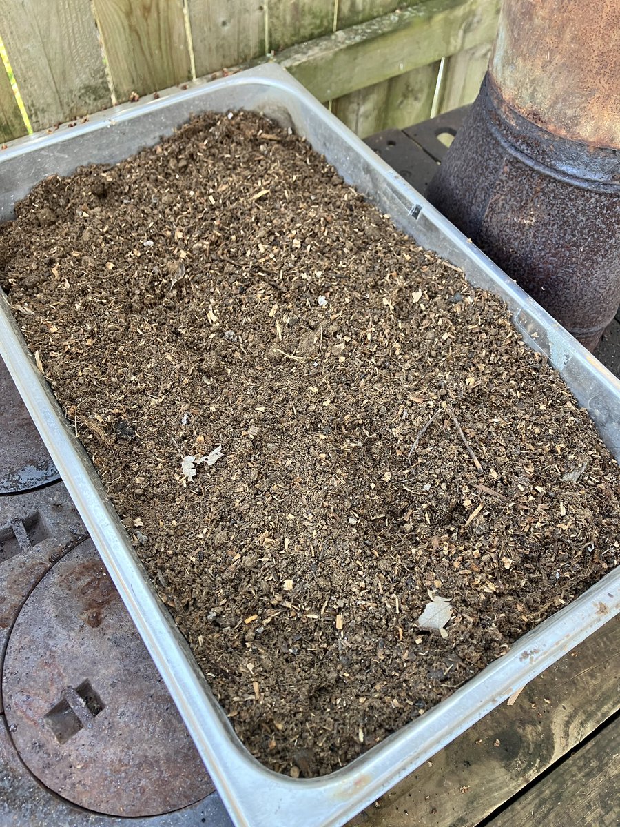 Today is potting soil mixture day.    I make my own.   It’s a mixture of aged saw dust.  Limestone topsoil and wood ash.  Also has a little composted manure mixed in. I heat it up on the old outdoor cook stove for about 5 hours to kill any weed seeds that may be in the mixture.