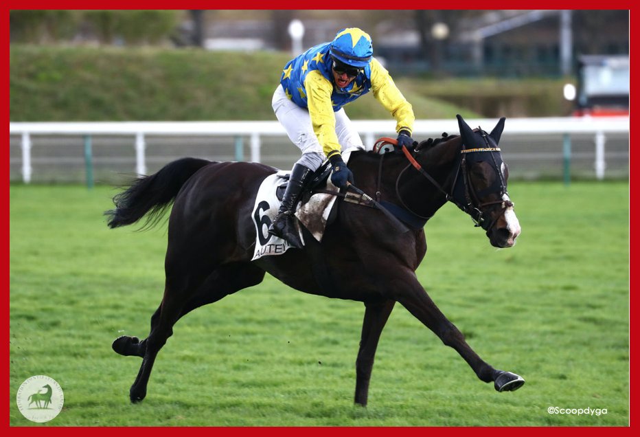PRINCE ANJOU invaincu en Steeple ! 🍀
Le fils de #MarescaSorrento, remporte le Prix Air Landais (L) à. <a href="/Hippo_Auteuil/">Hippodrome_Auteuil</a> après avoir fait travailler les bras de son jockey Olivier Jouin ! (26/03) ! Félicitations à son éleveur Gildas Vaillant 👏
#BreedInFrance #RaceAndCare