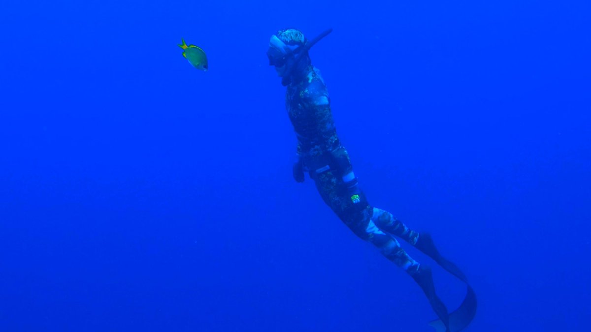 Dirty Diver Nada (@nadadecat) on Twitter photo 