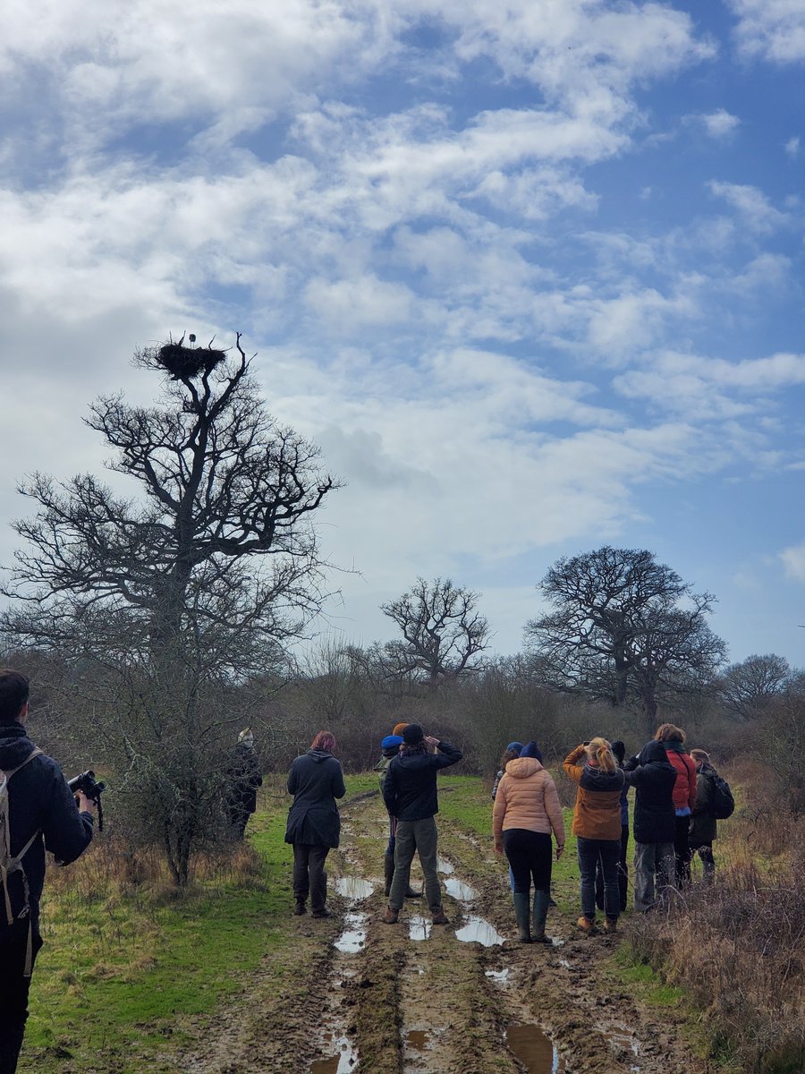 At last week's SSRP trip to @KneppWilding @SusxUniStudents ventured out into the wild and muddy countryside for #SustainableSussex month & #WorldRewildingDay
Great talks by @mollybiddell & Chris Sandom @Nature_Based and safari where we spotted amazing wildlife incl white-tailed🦅