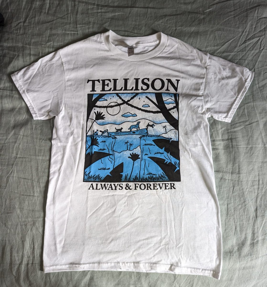 Put the last few shirts from February's Scotland tour up on the <a href="/Bandcamp/">bandcamp</a> page. tellison.bandcamp.com/merch
