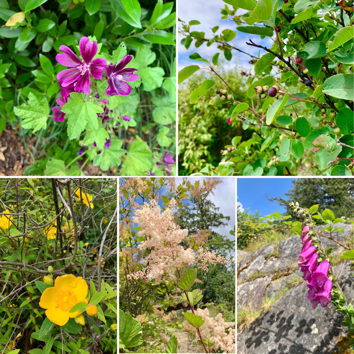 Suzanne Vardy tweet media