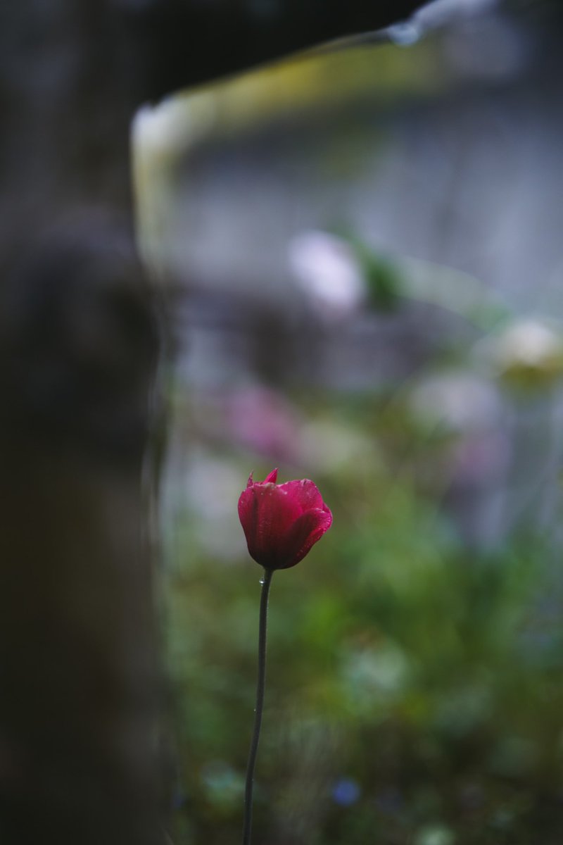 조금
늦는 건 괜찮아..

늦었다고
아예 시작도 하지않고

못 한다고
미리 포기해 버리는게 문제지..

조금
늦게 시작해도
꾸준히 노력만 한다면

좋은 결과를 얻을수 있는거야..🖊

-지나간다 다지나간다1.2-