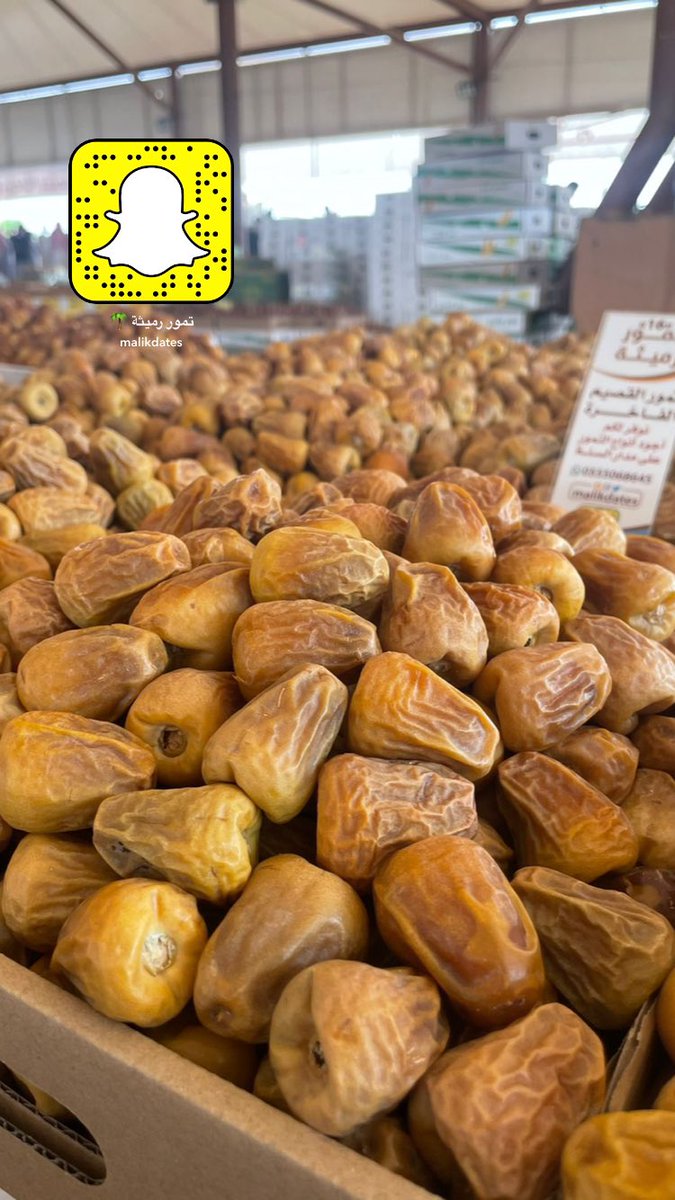 malikdates's tweet image. قائمة اسعار سكري القصيم بجميع انواعة"

٨٥ريال سكري مفتل رقم ١ وزن ٣ك
١١٠ ريال سكري جالكسي لين وزن٥ك
٢٠٠ريال سكري مفتل ملكي وزن٥ك

🛑اسعار خاصة للكميات👌🏼

للطلب والإستفسار :٠٥٥٥٠٦٨٦٤٥
او على رابط الواتس اب في البايو