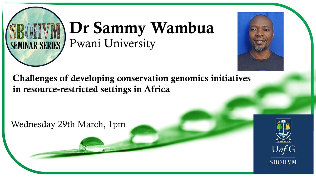 UofG SBOHVM (@uofgsbohvm) on Twitter photo We are delighted to welcome Dr Sammy Wambua this week for our @UofG_SBOHVM Research Seminar Series <a href="/swambua/">𝕊𝕒𝕞𝕞𝕪 𝕎𝕒𝕞𝕓𝕦𝕒 (𝗧𝗮𝘁𝗮)</a>
🗣️Challenges of developing conservation genomics initiatives in resource-restricted settings in Africa
📅29 March 1pm
💻Zoom link on request
🙂All Staff & Students welcome We are delighted to welcome Dr Sammy Wambua this week for our @UofG_SBOHVM Research Seminar Series <a href="/swambua/">𝕊𝕒𝕞𝕞𝕪 𝕎𝕒𝕞𝕓𝕦𝕒 (𝗧𝗮𝘁𝗮)</a>
🗣️Challenges of developing conservation genomics initiatives in resource-restricted settings in Africa
📅29 March 1pm
💻Zoom link on request
🙂All Staff & Students welcome
