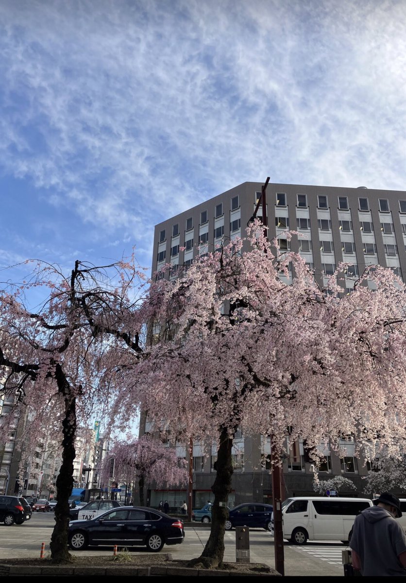 "花は咲く"大好きな曲です。歌詞も音楽も琴線に触れては涙がでます。今生きていること、いつか死ぬこと、そして新たな命が生まれること。何にでも感謝と思っていてもまだまだ気付けていない、感謝しきれていないことを知らされます。
一歩ずつ、もっと高みへ。今日も有難う🌸
youtu.be/0pqXfXQGQEo