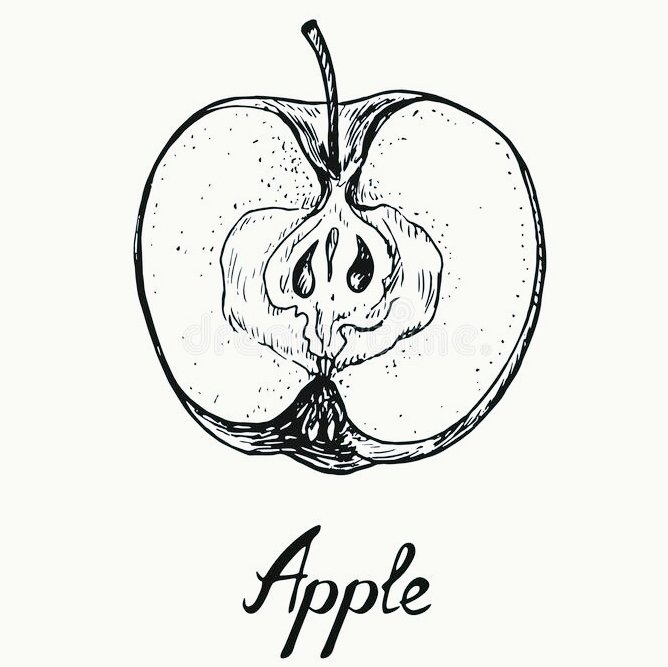 InfiniLuc's tweet photo. "For reasons which I failed to penetrate, the secret of Vril could be found by contemplating the structure of an apple, sliced ​​​​in halves. No, I am not joking, that is what I was told with great solemnity and secrecy."
Willy Ley (Astounding Science Fiction, 1947)
🍎 https://t.co/riSvabHVwm