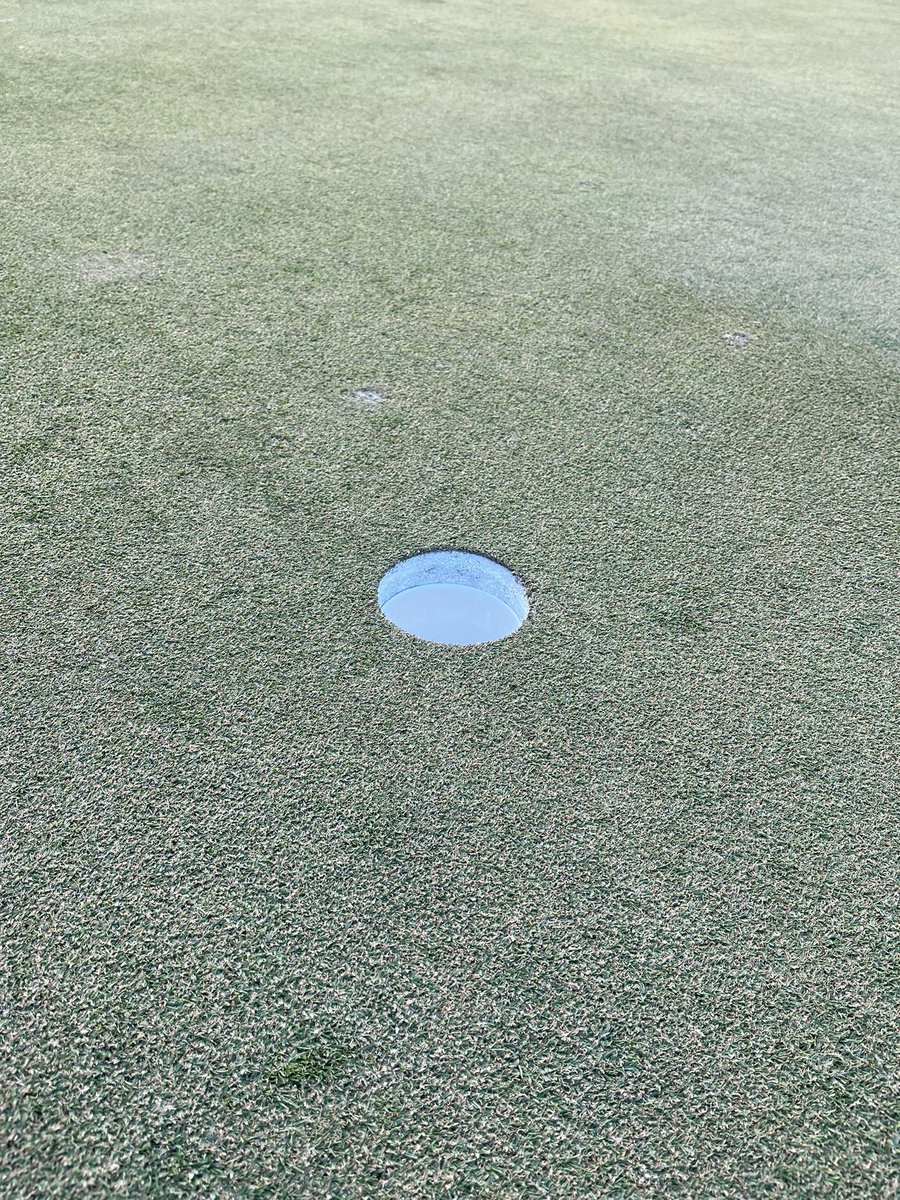 Ryan stewart tweet media