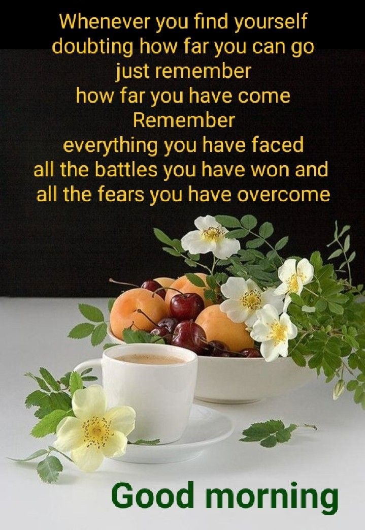 🌹Rosarian NikitaMarie tweet media