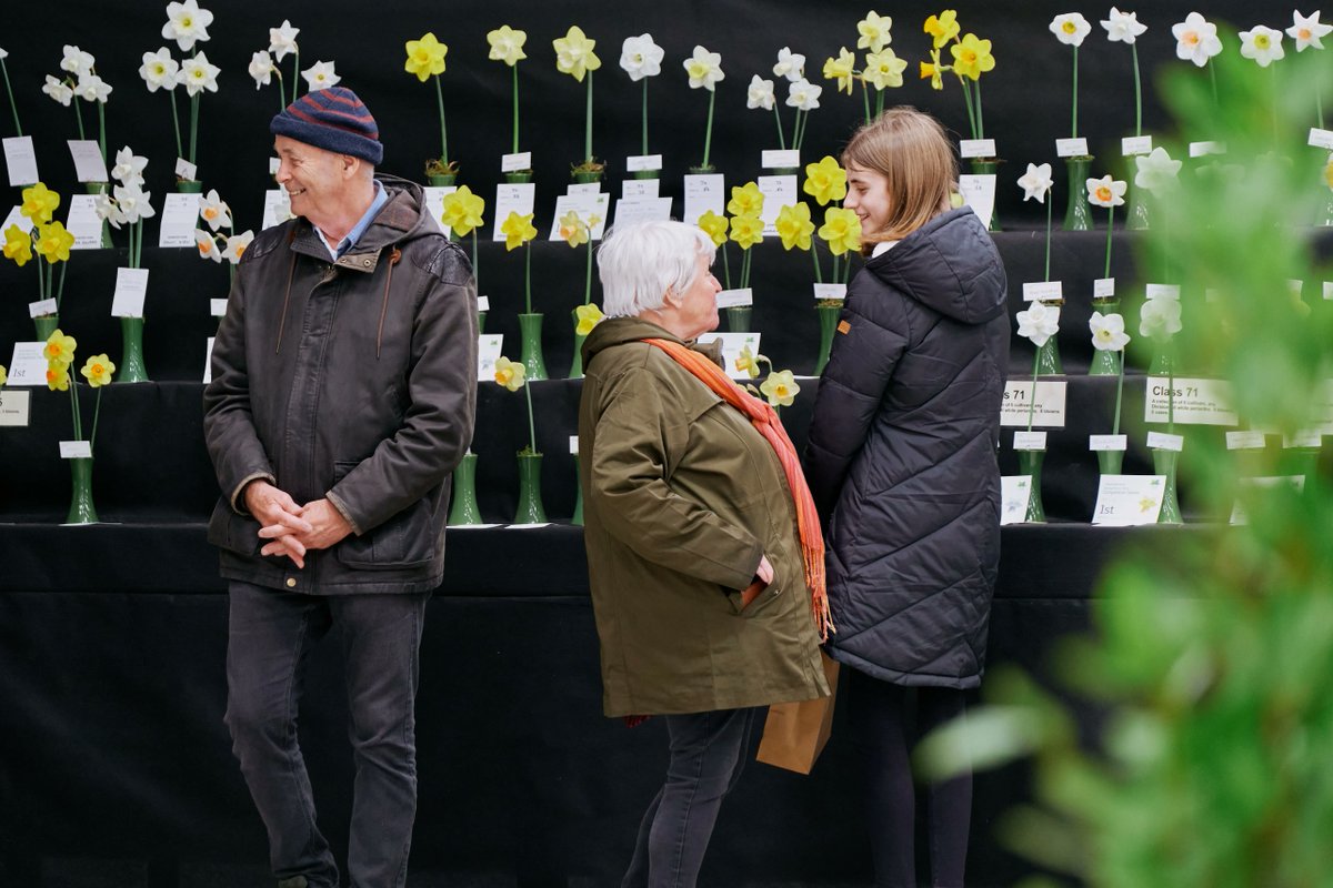 For a sneak preview of next weekend's #CGS #SpringFlowerShow, tune in to <a href="/jack_murley/">Jack Murley</a> on <a href="/BBCCornwall/">BBC Cornwall</a> where you will hear all about the horticultural heaven that awaits you: buff.ly/3TKnfOY 📸 <a href="/iankingsnorth/">Ian Kingsnorth</a>