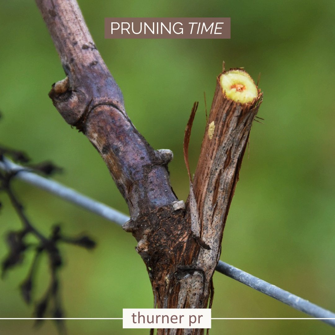 ThinkThurner tweet media