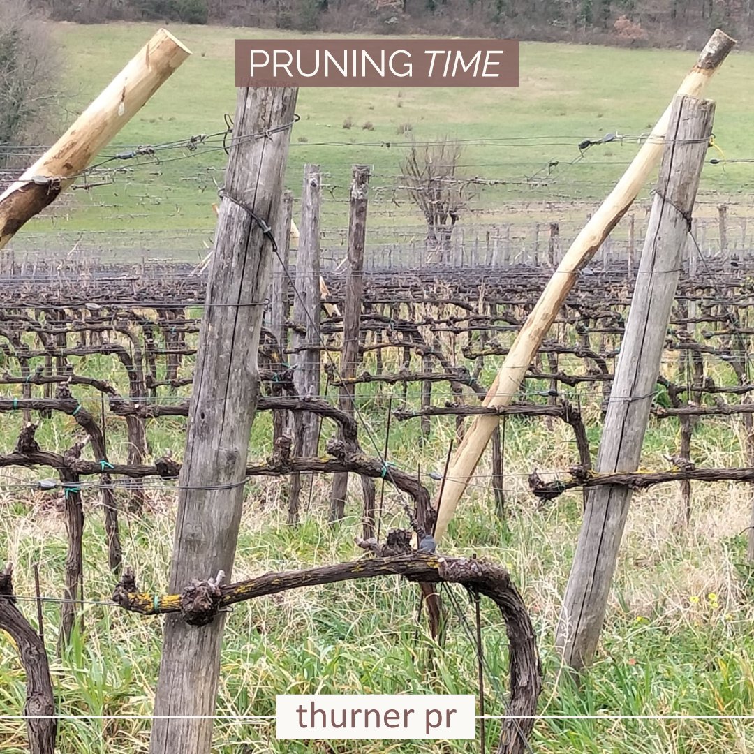 ThinkThurner tweet media