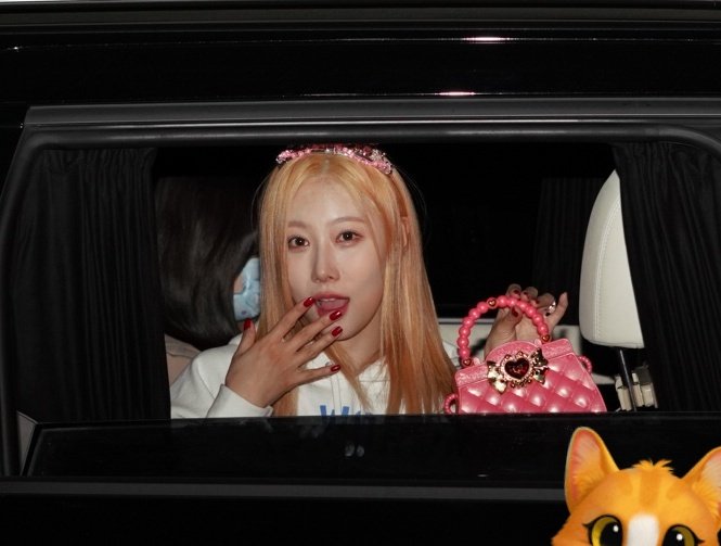 Handong_Lover's tweet photo. 230327 preview 

생일을 맞이한 동디공주 오늘 수고했어요!

#한동 #HANDONG 
#드림캐쳐 #Dreamcatcher 
@hf_dreamcatcher https://t.co/SoqKxJS0QA