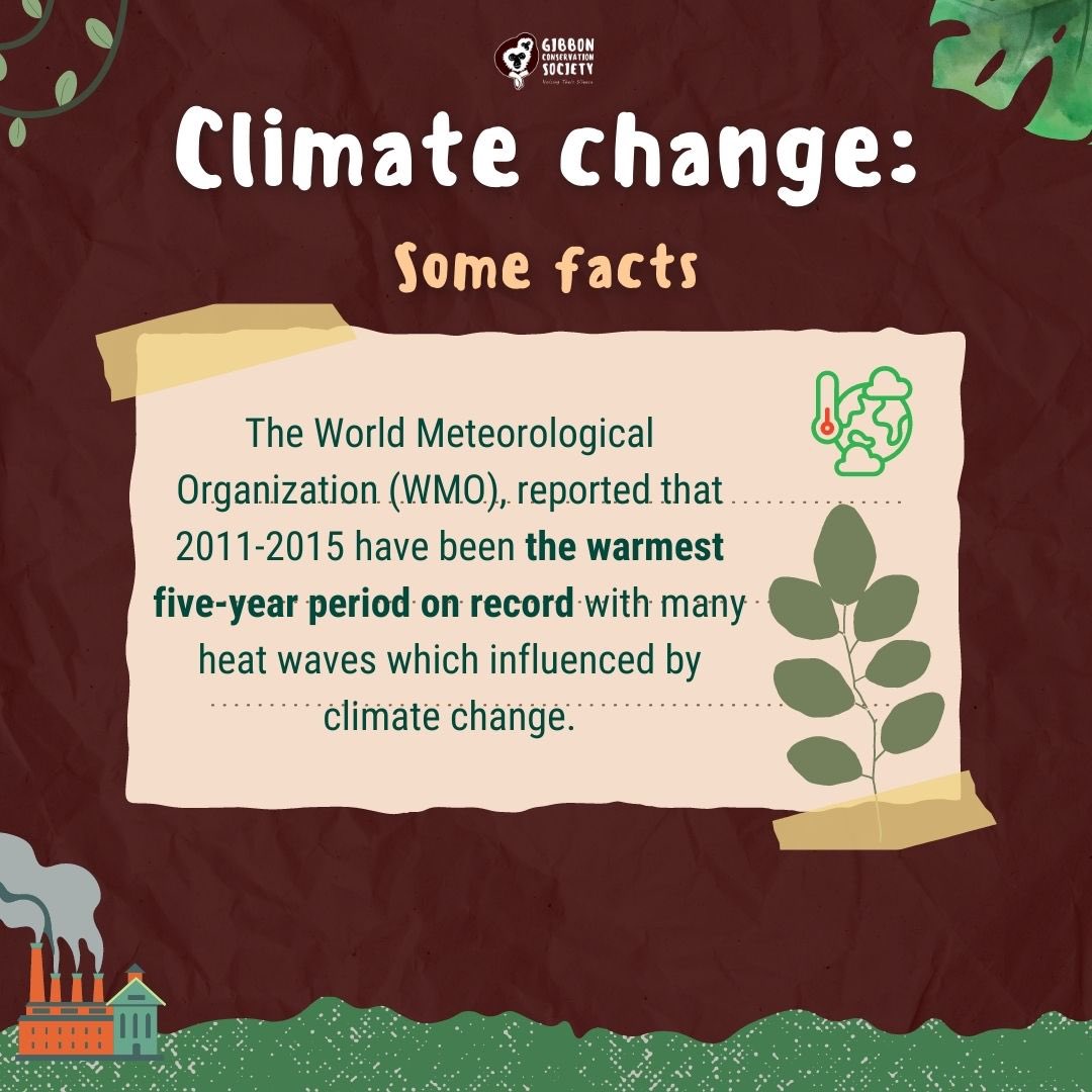 gibbonsociety's tweet photo. Climate change affects gibbons, swipe to find out more. https://t.co/J7Ymd80QEN