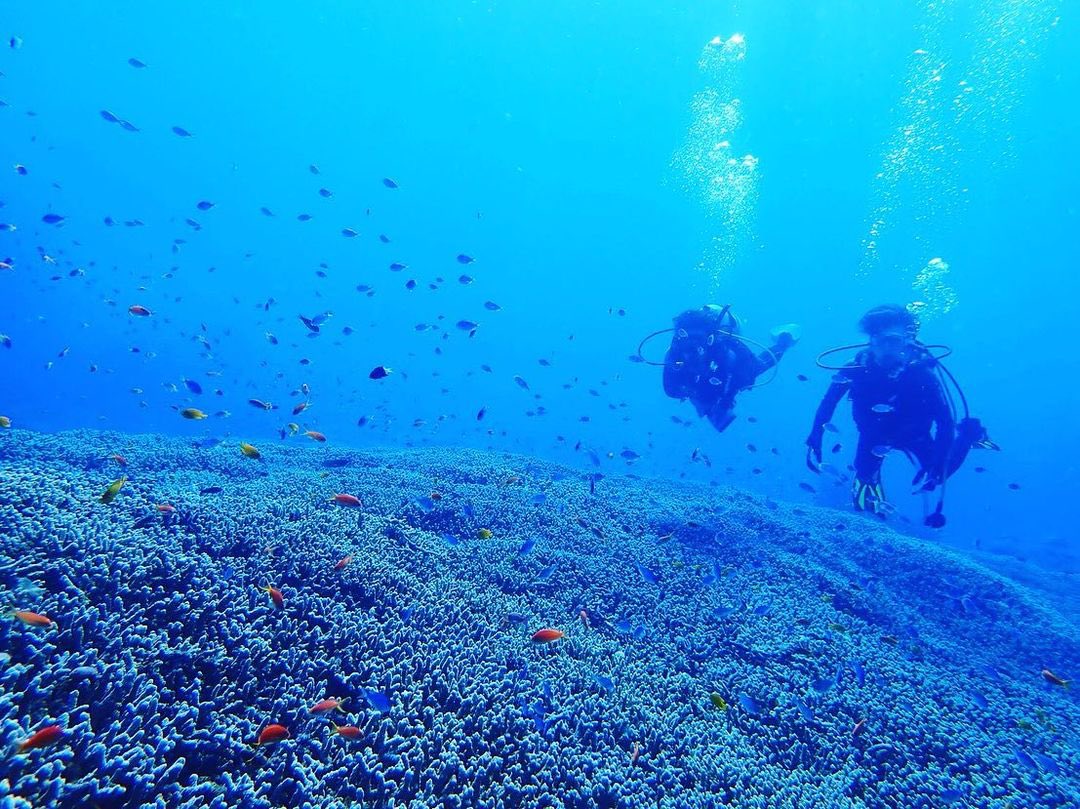 yuuuro32's tweet photo. この素晴らしい石垣の海を守りたい‼︎
ダイビングも釣りも最高の環境の海です🐠

▼ロート製薬と一緒に沖縄の海を守りませんか？ @save_by_photo https://t.co/IjM4njc4IK #写真で自然を守る_SAVEbyPhoto #海をおもう日やけ止め_ネクスタ https://t.co/ldJDQNrNYi