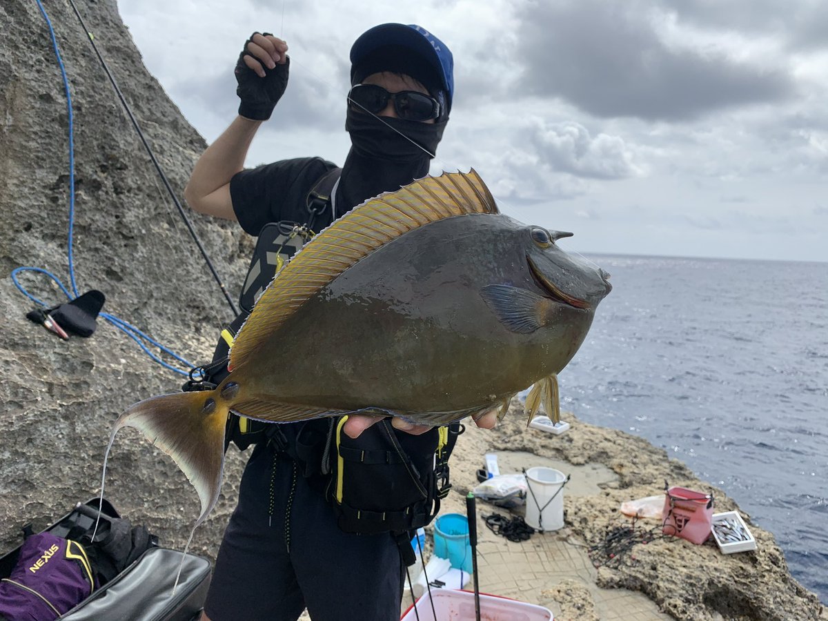 yuuuro32's tweet photo. この素晴らしい石垣の海を守りたい‼︎
ダイビングも釣りも最高の環境の海です🐠

▼ロート製薬と一緒に沖縄の海を守りませんか？ @save_by_photo https://t.co/IjM4njc4IK #写真で自然を守る_SAVEbyPhoto #海をおもう日やけ止め_ネクスタ https://t.co/ldJDQNrNYi