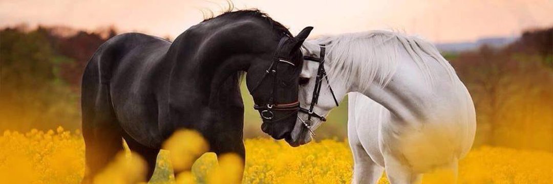 MF_22B's tweet photo. #Aguias_SDVJB
🦅➁🦅🇧🇷
@DLBC62 
@Marbenje
@fmcs1970
@IreteSouza 
@arivsilva63
@ivanrpsilva
@luca281995 
@marciapepe 
@patriotaMF7
@Adm_MitoFer
@Mannu0402
@marciocrocha 
@EdneiaScanto
@barbosaR_432
@daraujodantas 
@Fer_Demetrio83
@Princesaqsonha
@figueredo_guede
@Eduardo61401131 https://t.co/G7yka5m91g