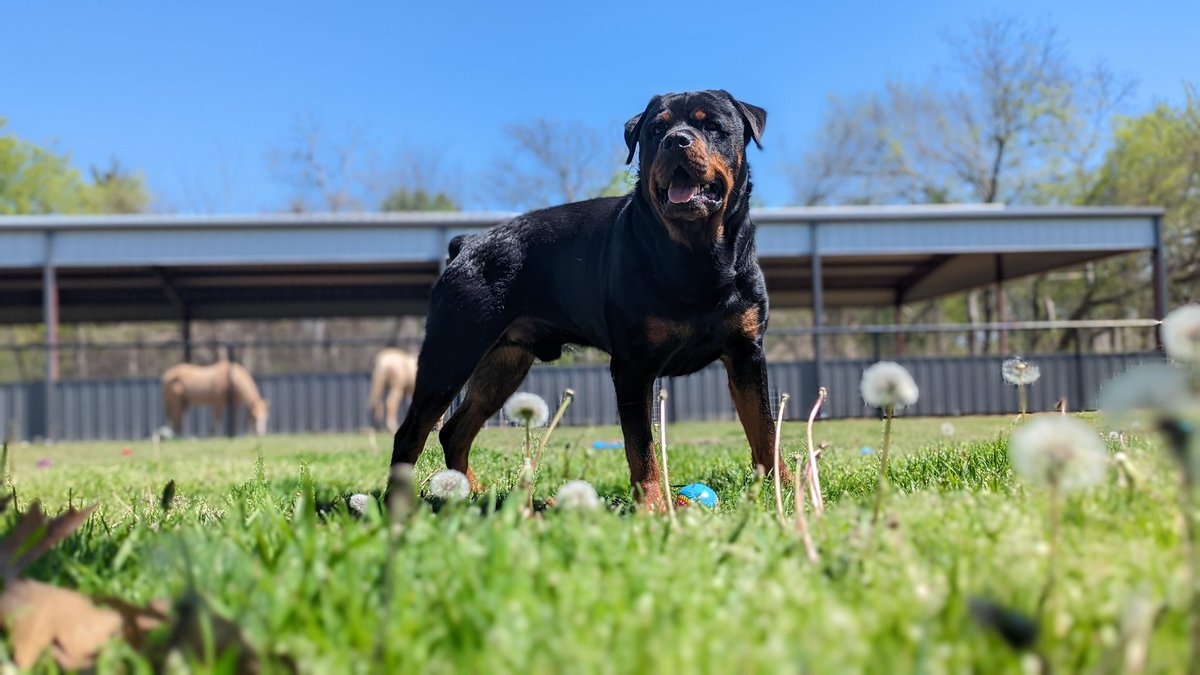 CaponeKnows's tweet image. 