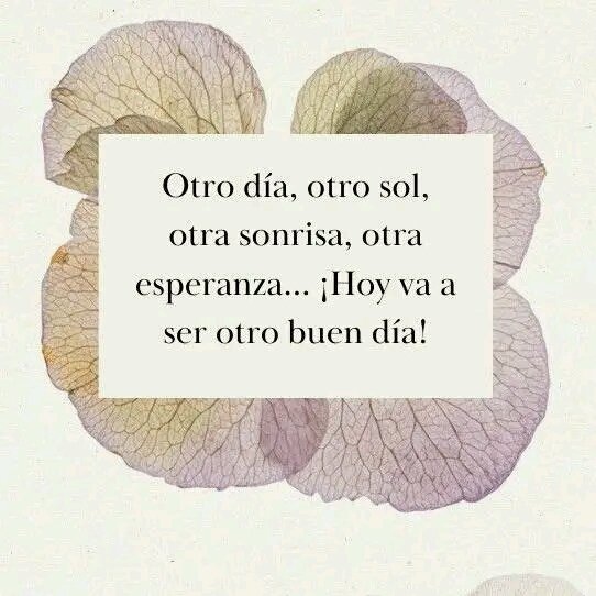 #NiCorrupciónNiGuarimbas
<a href="/Maricorazon65/">Mari SSM</a> <a href="/mamagraci23/">mamagraci23</a> <a href="/Alejandro_Rp55/">Alejandro Ramirez</a> <a href="/Ana_RoGV/">𝒜𝓃𝒶 𝒫𝒶𝑜𝓁𝒶... 🌺👩‍🌾</a> <a href="/Anaconda625/">Anaconda ✿(◕⁠ᴗ⁠◕⁠✿⁠)</a> <a href="/Francis88566791/">Francis😘🤗</a> <a href="/gipsybell23/">GipsyBell 💞</a> <a href="/isabelbb95/">isabel</a> <a href="/isbeli92830304/">isbeli</a> <a href="/leridadegarcia1/">🌺ZG 🌺</a> <a href="/lrrc2020/">#TuiterosPatriotas😷</a> <a href="/Solecito19011/">Solecito1901</a> 
Buenos días ☀️