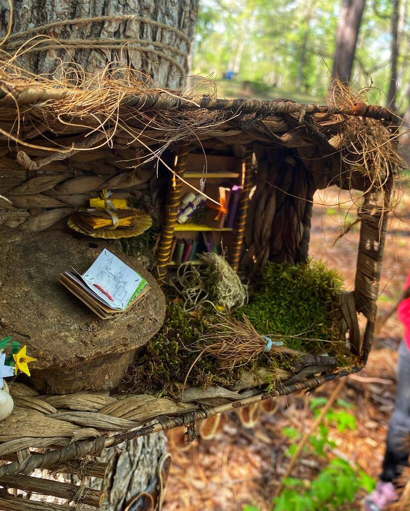 The Fairy Garden Trail in Davey Dogwood Park is pleased to announce the winner of the fairy garden design contest.  Congratulations to #55 designed by Fae Dempsey! 🏆🧚🏼 #palestinetx 
#fairygarden #getoutside instagr.am/p/CqSv1MUuFXT/