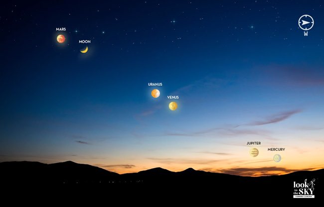 Moksh Shah tweet media