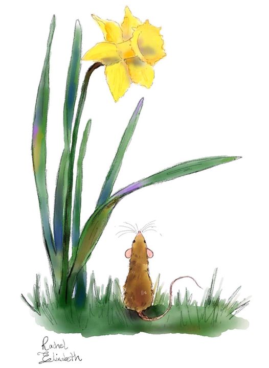 <a href="/ahmedhankir/">Professor Ahmed Hankir</a> There is always Hope. However small