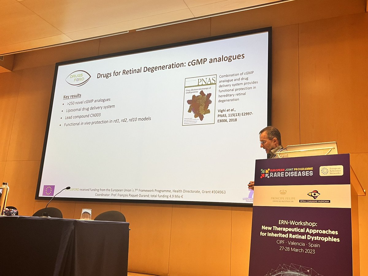 AnaPilarGomez's tweet photo. Talk 6 #ERNworkshop #retinaldystrophies
Dr. Francois Paquet-Durand from University of Tübingen, Germany talks about inhibited approaches against PKG to improve survival and functionality of photoreceptors and retinal ganglion cells.
@CIPFciencia @CIBERER @ReginaRodrigo_ https://t.co/Zni4U5tzPa