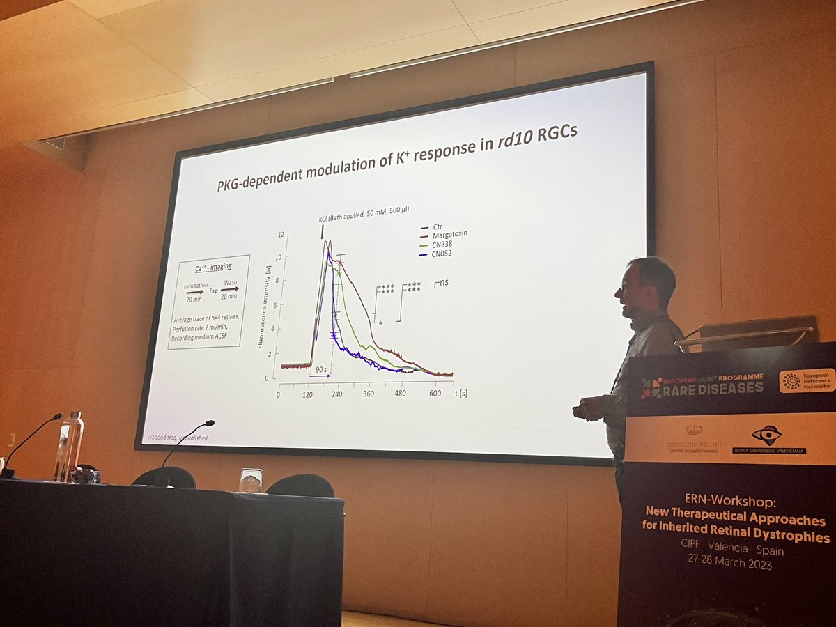 AnaPilarGomez's tweet photo. Talk 6 #ERNworkshop #retinaldystrophies
Dr. Francois Paquet-Durand from University of Tübingen, Germany talks about inhibited approaches against PKG to improve survival and functionality of photoreceptors and retinal ganglion cells.
@CIPFciencia @CIBERER @ReginaRodrigo_ https://t.co/Zni4U5tzPa