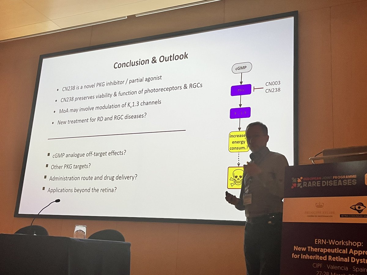AnaPilarGomez's tweet photo. Talk 6 #ERNworkshop #retinaldystrophies
Dr. Francois Paquet-Durand from University of Tübingen, Germany talks about inhibited approaches against PKG to improve survival and functionality of photoreceptors and retinal ganglion cells.
@CIPFciencia @CIBERER @ReginaRodrigo_ https://t.co/Zni4U5tzPa
