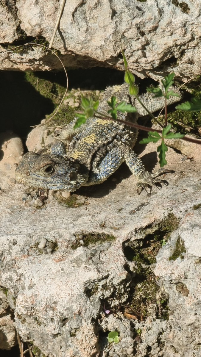 Spring came. Photo hunting. Do you like my prey?